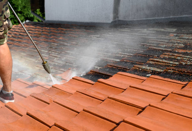 Best Fence Pressure Washing  in Wintersville, OH