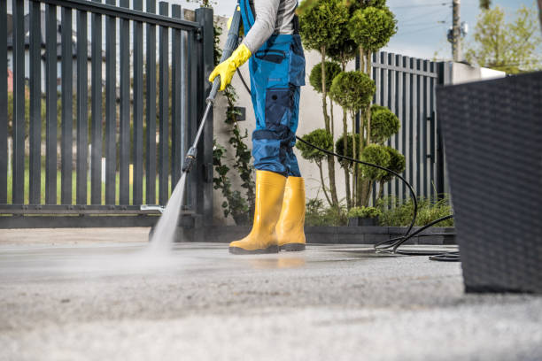 Best Roof Power Washing Services  in Wintersville, OH